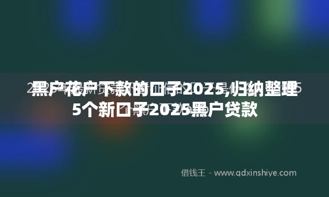 黑户花户下款的口子2025,归纳整理5个新口子2025黑户贷款