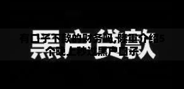 有口子下款的财务吗,隆重介绍5个晚上秒过黑户口子