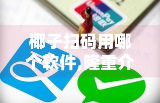 椰子扫码用哪个软件,隆重介绍5个黑户也能过的口子