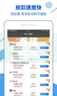 香蕉应急贷款下载,值得收藏的5个黑户必下秒到口子