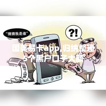 国美易卡app,归纳整理5个黑户口子大额