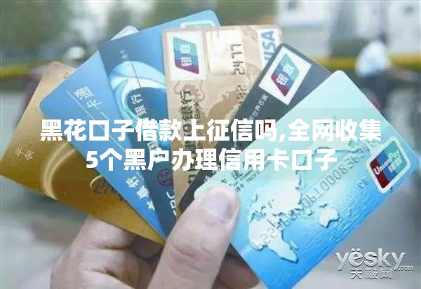 黑花口子借款上征信吗,全网收集5个黑户办理信用卡口子