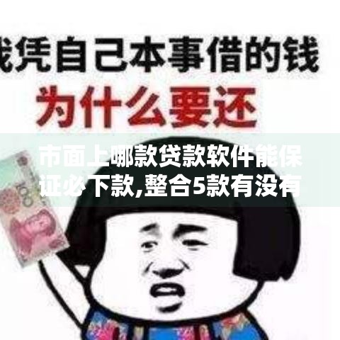 市面上哪款贷款软件能保证必下款,整合5款有没有黑户能下的口子啊