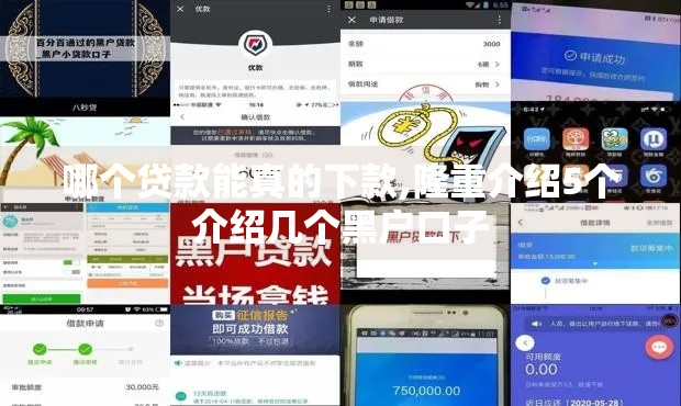 哪个贷款能真的下款,隆重介绍5个介绍几个黑户口子