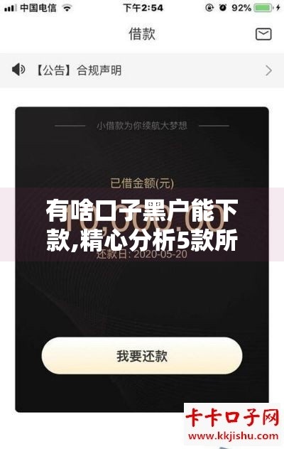有啥口子黑户能下款,精心分析5款所有网贷黑户口子