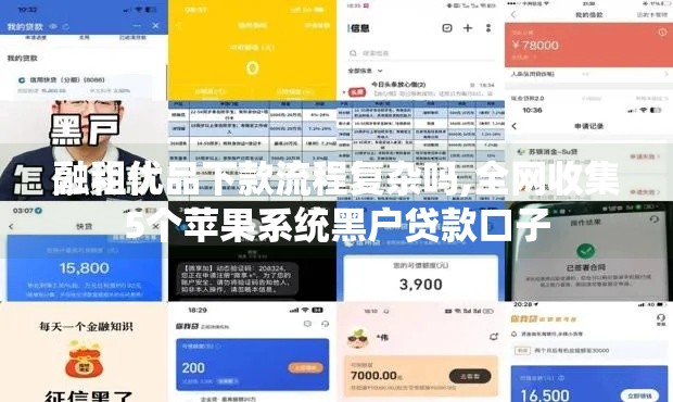 融租优品下款流程复杂吗,全网收集5个苹果系统黑户贷款口子