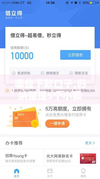 哪些下款口子,归纳整理5个小额黑户口子