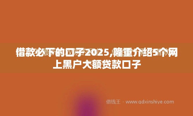 借款必下的口子2025,隆重介绍5个网上黑户大额贷款口子