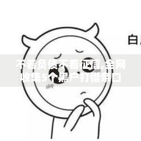 不看负债不看征信,全网收集5个黑户打借条口子
