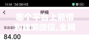 哪个平台上能借到钱啊微信,全网收集5个黑户下款无回访的口子