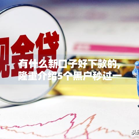 有什么新口子好下款的,隆重介绍5个黑户秒过一千的口子