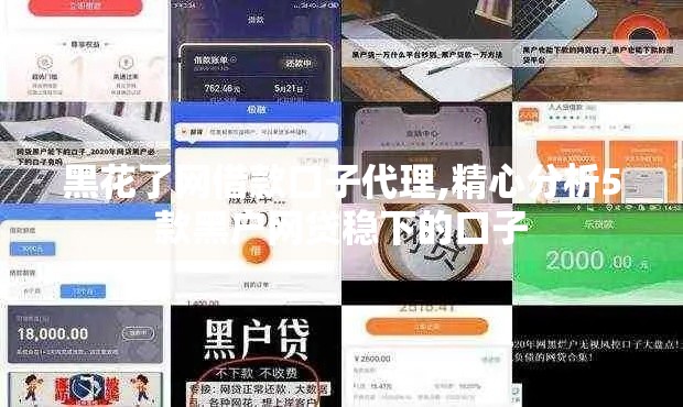 黑花了网借款口子代理,精心分析5款黑户网贷稳下的口子