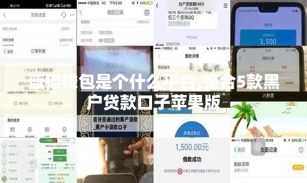 蓝猫钱包是个什么平台,整合5款黑户贷款口子苹果版