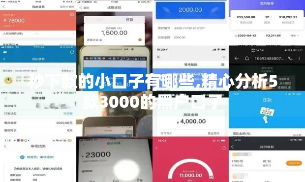 秒下款的小口子有哪些,精心分析5款3000的黑户口子