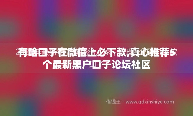 有啥口子在微信上必下款,真心推荐5个最新黑户口子论坛社区