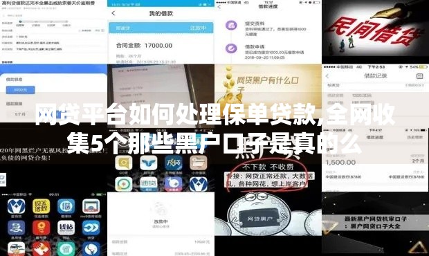 网贷平台如何处理保单贷款,全网收集5个那些黑户口子是真的么