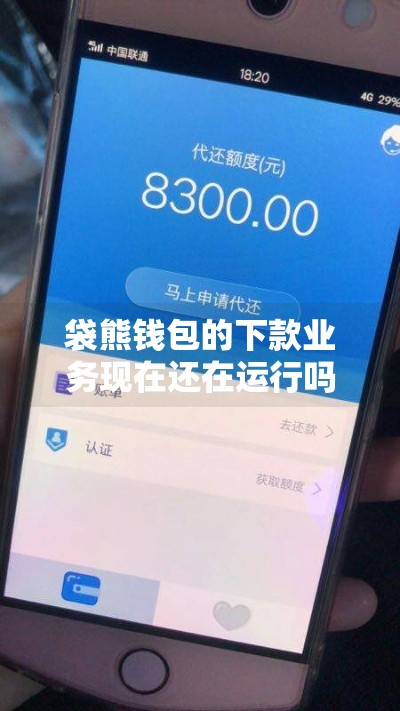 袋熊钱包的下款业务现在还在运行吗,真心推荐5个百分百黑户能贷款的口子