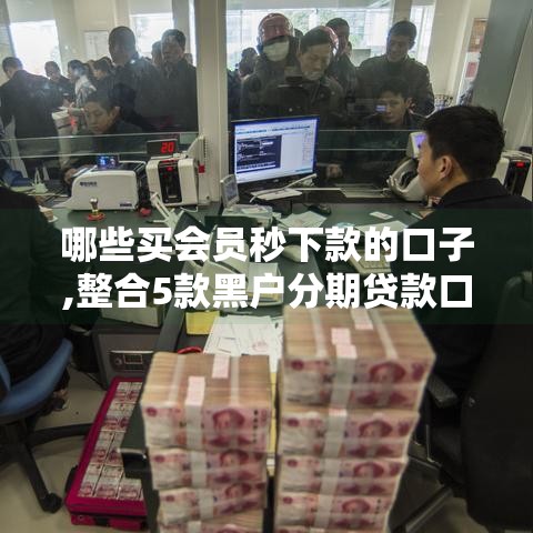 哪些买会员秒下款的口子,整合5款黑户分期贷款口子不还