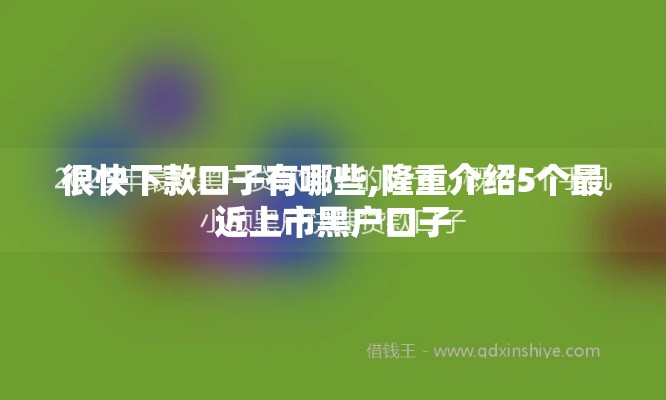 很快下款口子有哪些,隆重介绍5个最近上市黑户口子