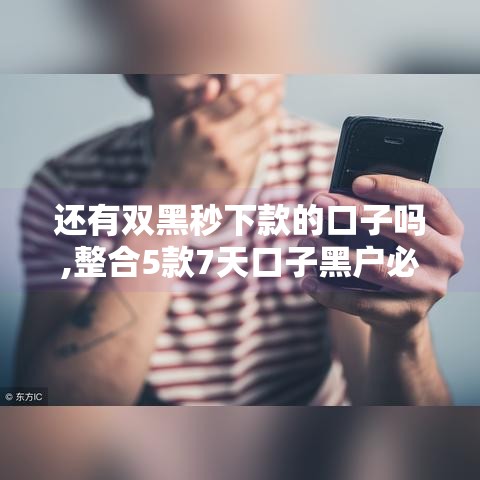还有双黑秒下款的口子吗,整合5款7天口子黑户必下款