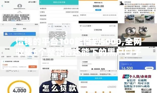 借钱的平台100能借到5000,全网收集5个整顿后还能下的黑户口子