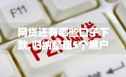 网贷还有哪些口子下款,归纳整理5个黑户逾期没还的口子