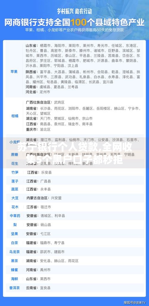 苏宁银行个人贷款,全网收集5个黑户口子都秒拒