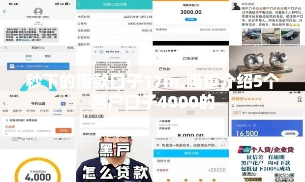 秒下的借款口子17m,隆重介绍5个黑户口子4000的