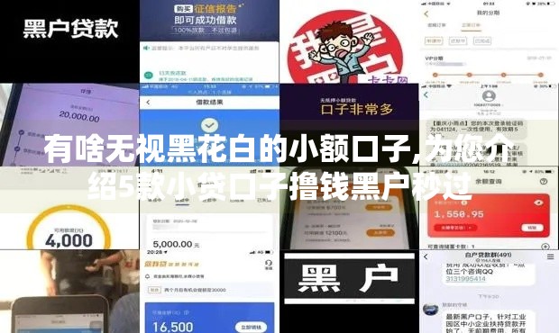 有啥无视黑花白的小额口子,为您介绍5款小贷口子撸钱黑户秒过
