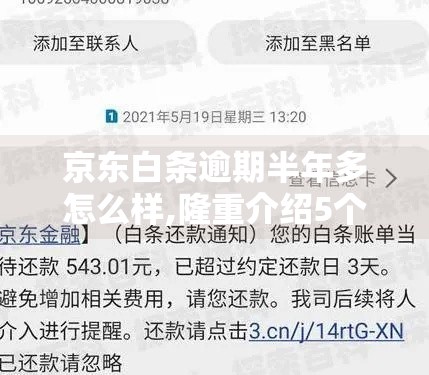 京东白条逾期半年多怎么样,隆重介绍5个黑户秒下款1万的口子
