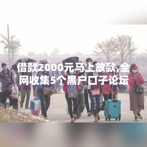 借款2000元马上放款,全网收集5个黑户口子论坛2025