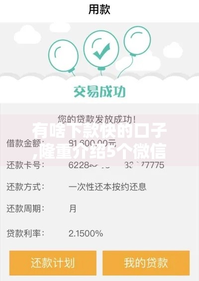 有啥下款快的口子,隆重介绍5个微信黑户借款口子