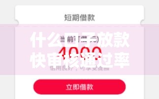 什么口子放款快审核通过率高,真心推荐5个黑户秒下2500的口子