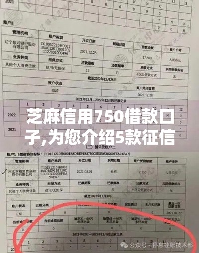 芝麻信用750借款口子,为您介绍5款征信黑户都能下的口子