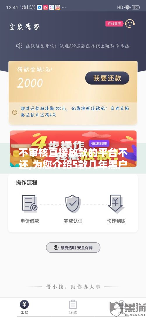 不审核直接放款的平台不还,为您介绍5款几年黑户也能下的口子