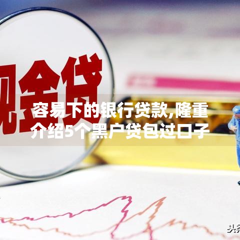容易下的银行贷款,隆重介绍5个黑户贷包过口子