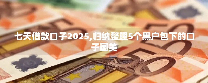 七天借款口子2025,归纳整理5个黑户包下的口子国美