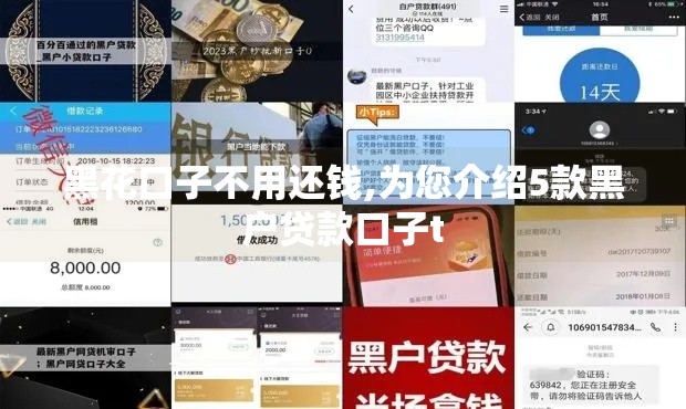 黑花口子不用还钱,为您介绍5款黑户贷款口子t