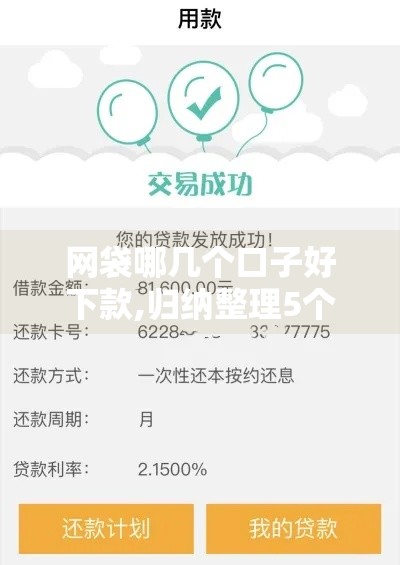 网袋哪几个口子好下款,归纳整理5个黑户白户贷款的口子