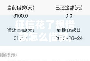 征信花了想借款怎么借款,简单汇总5个银行口子黑户都能带的