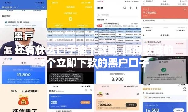 还有什么口子能下款吗,值得收藏的5个立即下款的黑户口子