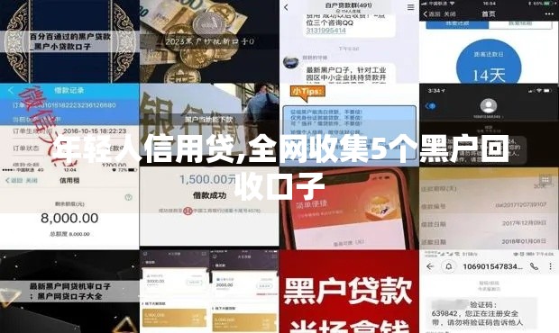 年轻人信用贷,全网收集5个黑户回收口子