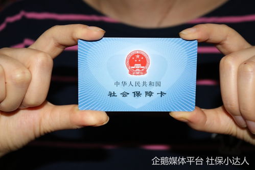 社保怎么自己缴费？个人如何自行缴纳社保费用