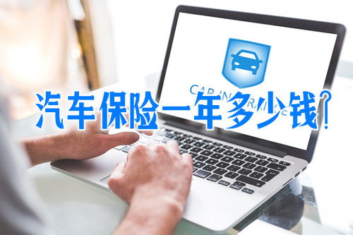 汽车保险多少钱一年？车险年费一般需要多少